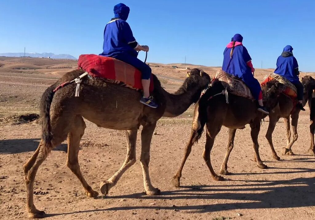 Escursione in Cammello nel Deserto di Agafay