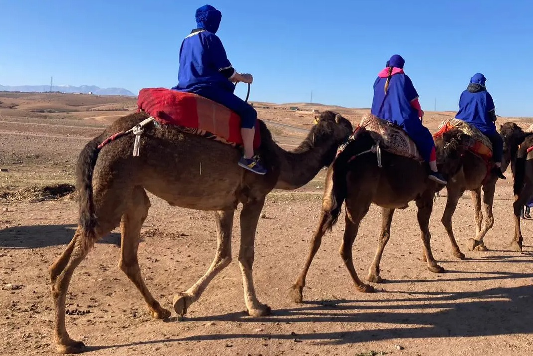 Escursione in Cammello nel Deserto di Agafay. 8-Day Marrakech Journey